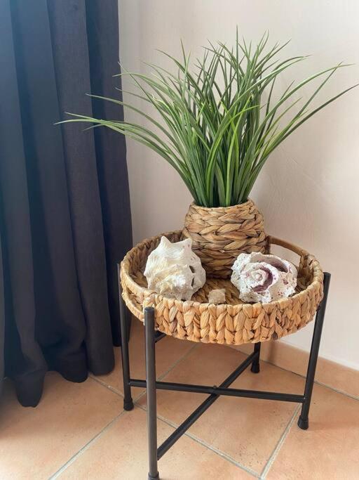 Appartement Sainte-Anne エクステリア 写真